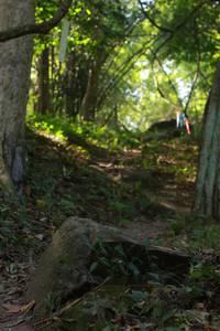 BIB: 
                            <button type="button" onclick="openModal(6916308)" class="btn btn-primary btn-sm float-right btn-popup" data-toggle="modal" data-target=".modal-high-quality">
                        <i class="fas fa-shopping-cart"></i> Add to Cart
                    </button>
                                            <button type="button" onclick="isThisMe(6916308, true)" class="btn btn-success btn-sm float-right btn-popup btn-isme hidden" data-toggle="tooltip" data-placement="bottom" title="นี่คือรูปของคุณใช่ไหม คลิกที่นี่เพื่อเอาเข้าอัลบั้ม">
                        <i class="fas fa-plus"></i> Add to album
                    </button>
                    <button type="button" onclick="isThisMe(6916308, false)" class="btn btn-warning btn-sm float-right btn-popup btn-isnotme hidden">
                        <i class="fas fa-ban"></i> Remove from album
                    </button>